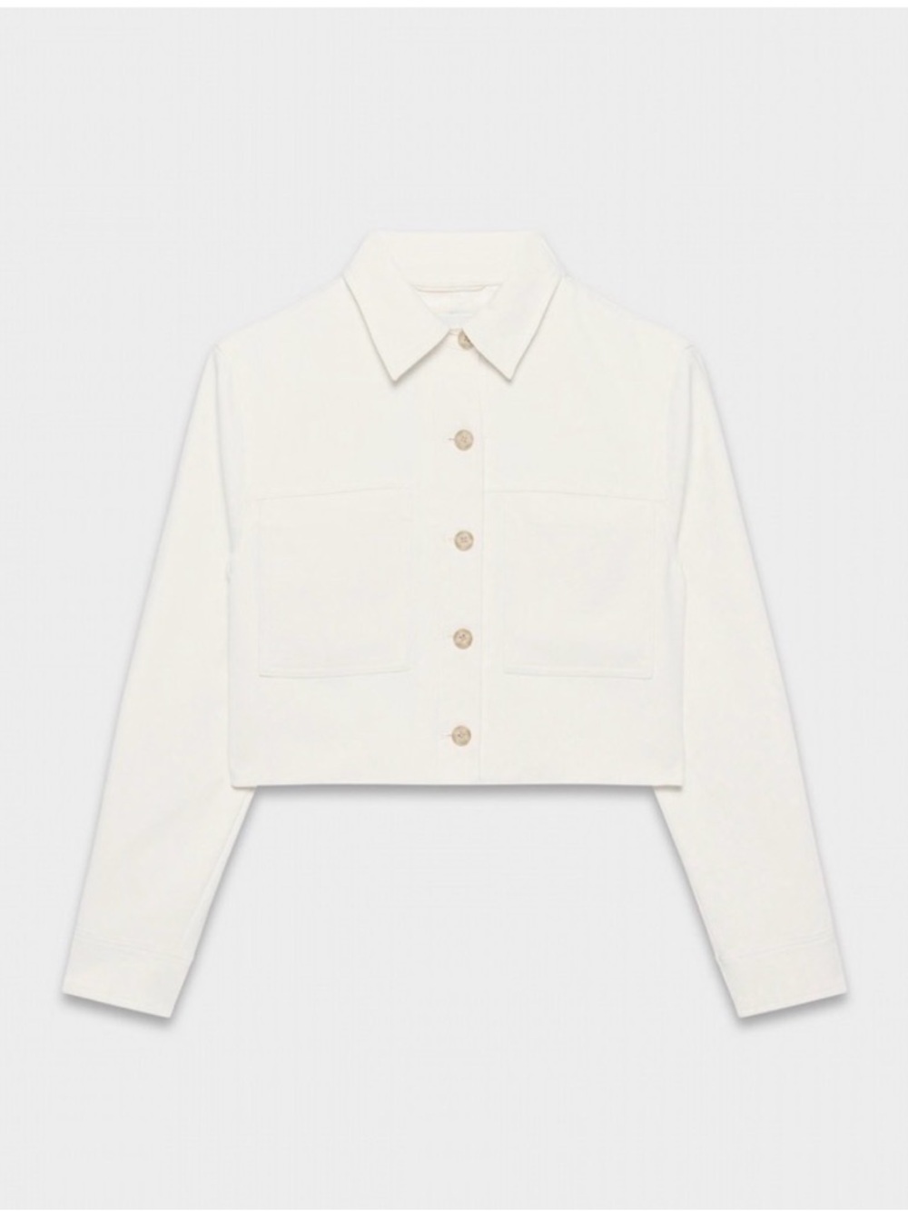 Aritzia Little Cropped Jacket